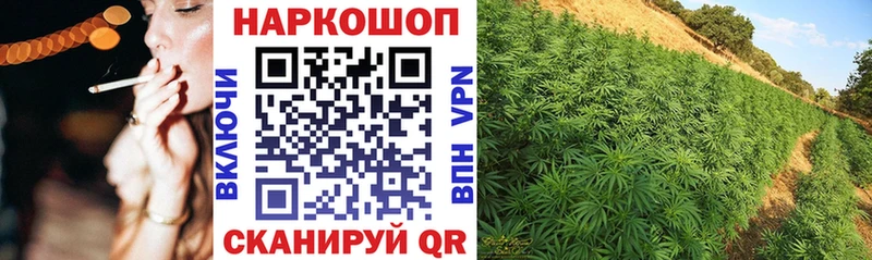 Где купить Богданович Галлюциногенные грибы  АМФЕТАМИН  МЕФ  МАРИХУАНА  Гашиш 