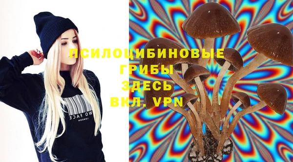 apvp Алзамай