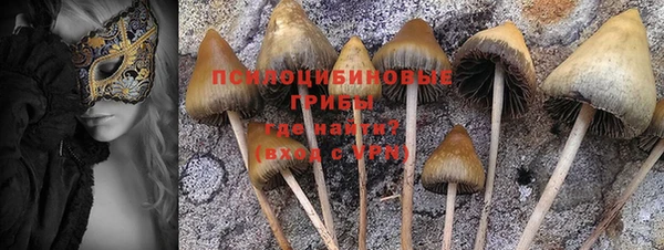 spice Абинск