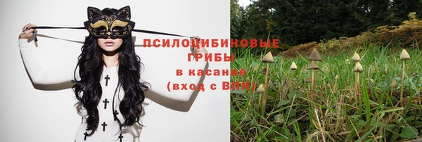 а пвп мука Абаза
