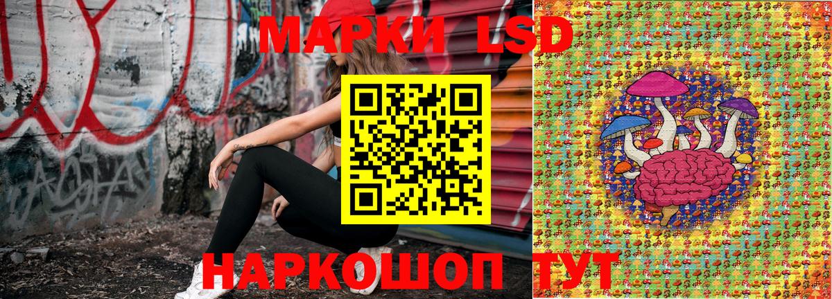 Наркотические марки 1,5мг  Марки NBOMe  Богданович  сколько стоит  Вход с VPN 