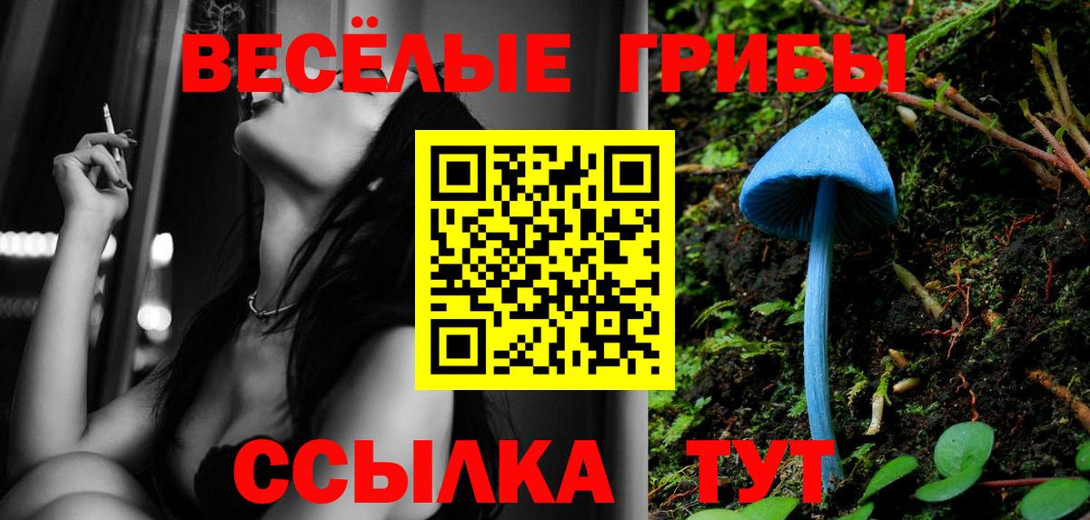 Псилоцибиновые грибы GOLDEN TEACHER Богданович