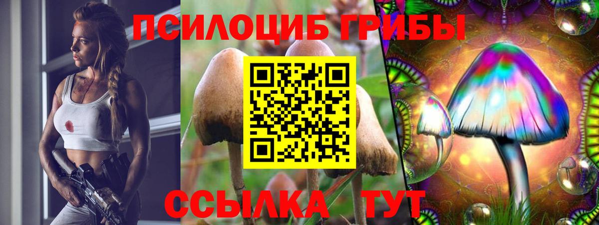 продажа наркотиков  Вход с VPN  Псилоцибиновые грибы мухоморы  Богданович  Псилоцибиновые грибы прущие грибы 