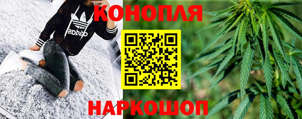 Шишки марихуана конопля Богданович
